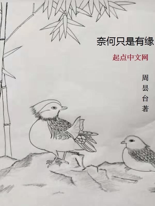 奈何缘浅前面一句是什么