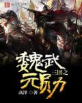 三国之魏武元勋TXT