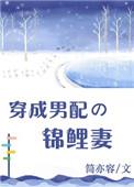 穿成男配的锦鲤妻免费阅读无防盗