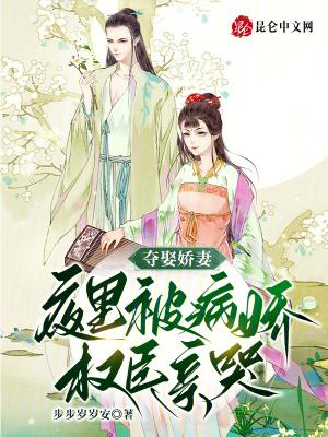 夺臣妻文