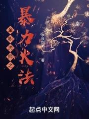 全职法师之雷霆暴君