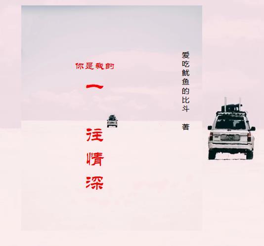 你是我一往情深的恋人歌曲