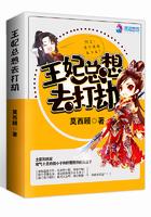 王妃总想去打劫全文免费阅读