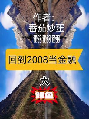 回到2008剧情