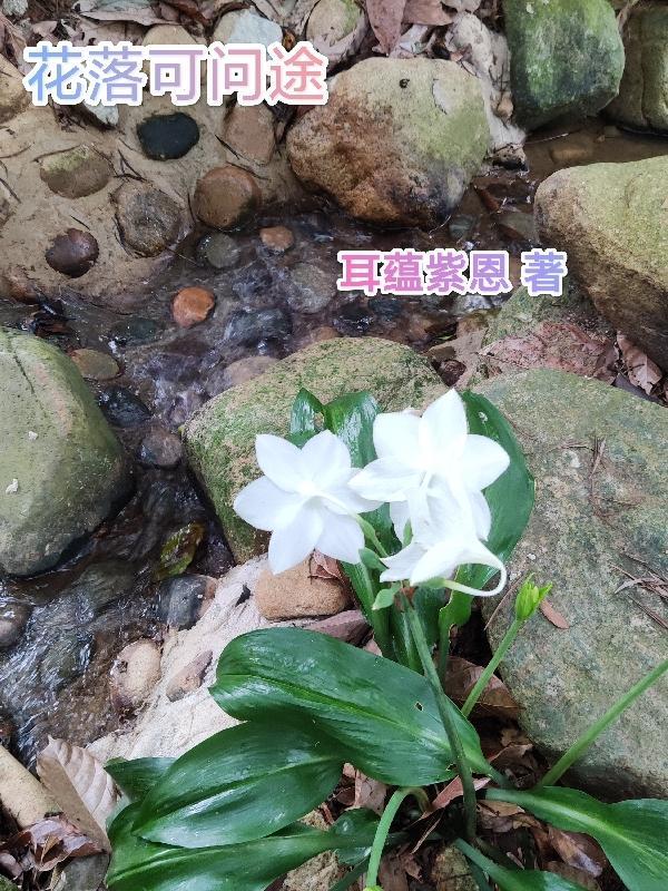 花落谁家未可知前一句