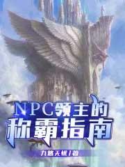 NPC领主的称霸指南 九悠无忧