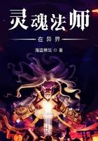 灵魂法师在异界怎么玩