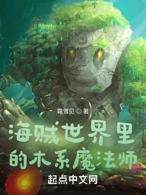 海贼世界里的魔导师