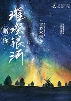 赠你璀璨星河txt