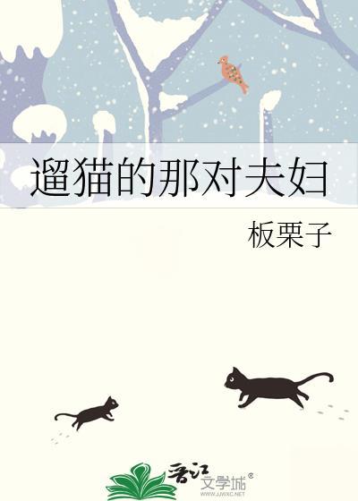 遛猫的那对夫妇番外